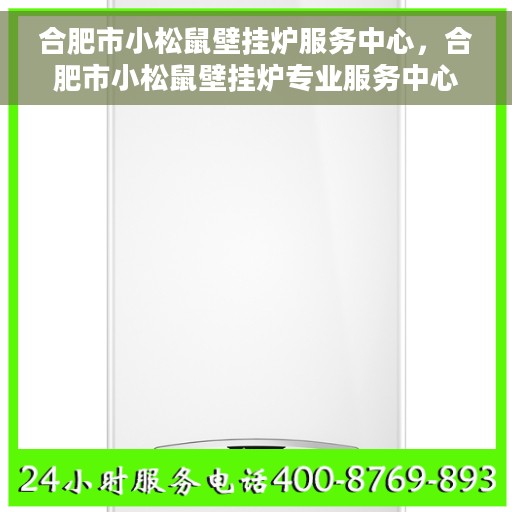 合肥市小松鼠壁挂炉服务中心，合肥市小松鼠壁挂炉专业服务中心