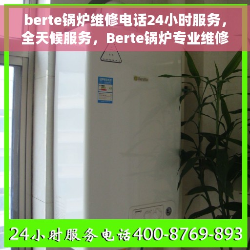 berte锅炉维修电话24小时服务，全天候服务，Berte锅炉专业维修电话在线