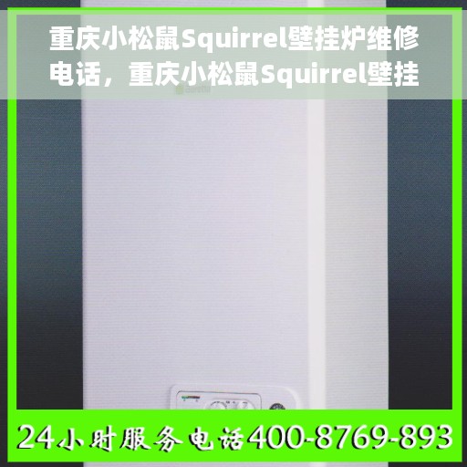 重庆小松鼠Squirrel壁挂炉维修电话，重庆小松鼠Squirrel壁挂炉专业维修服务热线