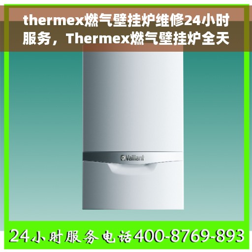 thermex燃气壁挂炉维修24小时服务，Thermex燃气壁挂炉全天候专业维修服务