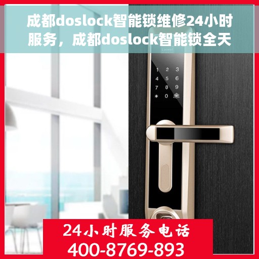 成都doslock智能锁维修24小时服务，成都doslock智能锁全天候专业维修服务