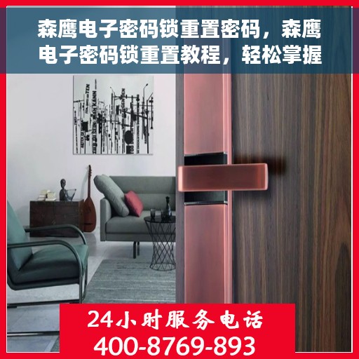 森鹰电子密码锁重置密码，森鹰电子密码锁重置教程，轻松掌握密码重置方法