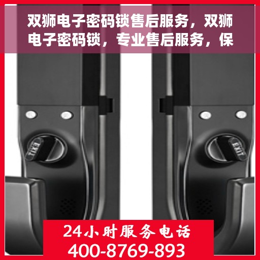 双狮电子密码锁售后服务，双狮电子密码锁，专业售后服务，保障用户安全无忧