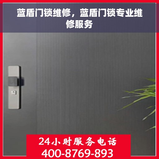 蓝盾门锁维修，蓝盾门锁专业维修服务