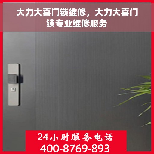 大力大喜门锁维修，大力大喜门锁专业维修服务