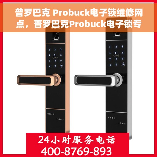 普罗巴克 Probuck电子锁维修网点，普罗巴克Probuck电子锁专业维修网点，一站式服务保障您的安全锁具无忧运行