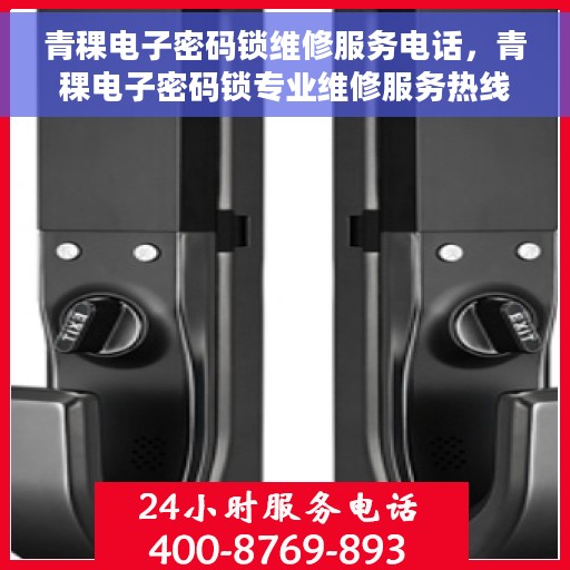 青稞电子密码锁维修服务电话，青稞电子密码锁专业维修服务热线