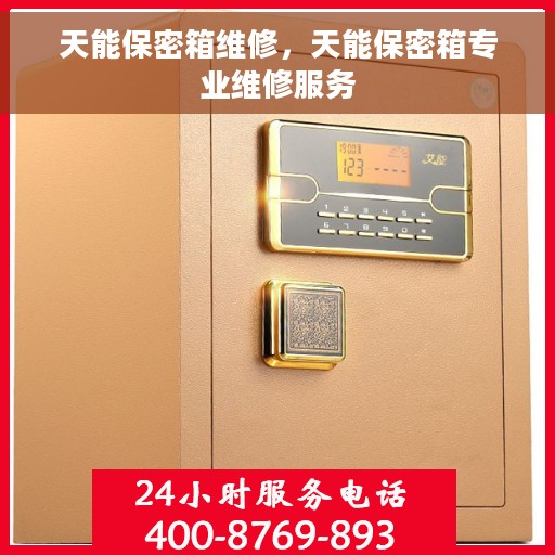 天能保密箱维修，天能保密箱专业维修服务